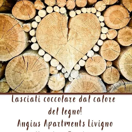 Apartment Angius Dg Livigno
